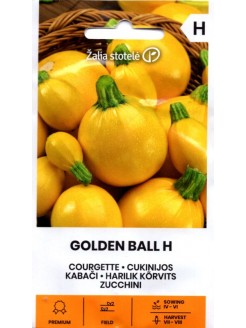 Kabaczek 'Gold Ball' 1 g