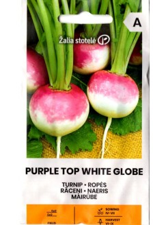 Rzepa 'Purple Top White Globe' 3 g