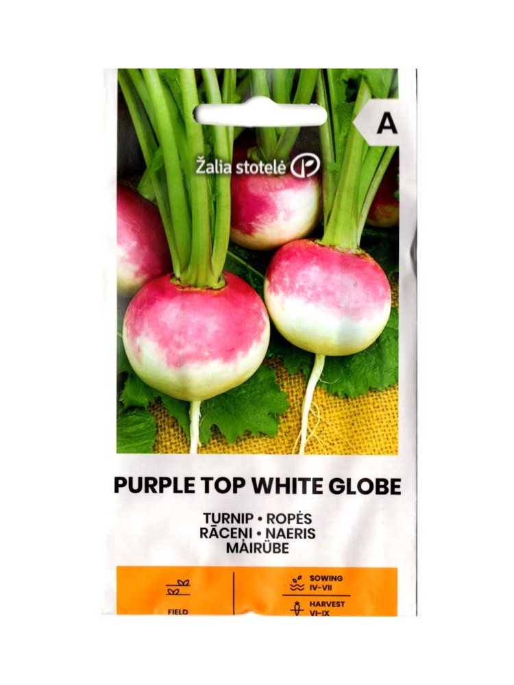 Rzepa 'Purple Top White Globe' 3 g