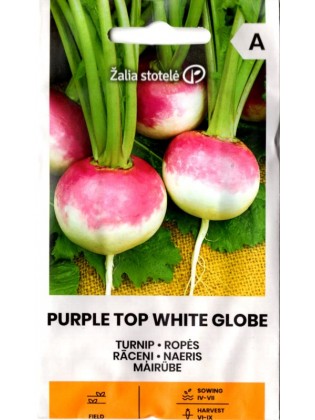 Rzepa 'Purple Top White Globe' 3 g