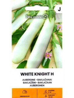 Oberżyna 'White Knight' H, 10 nasion