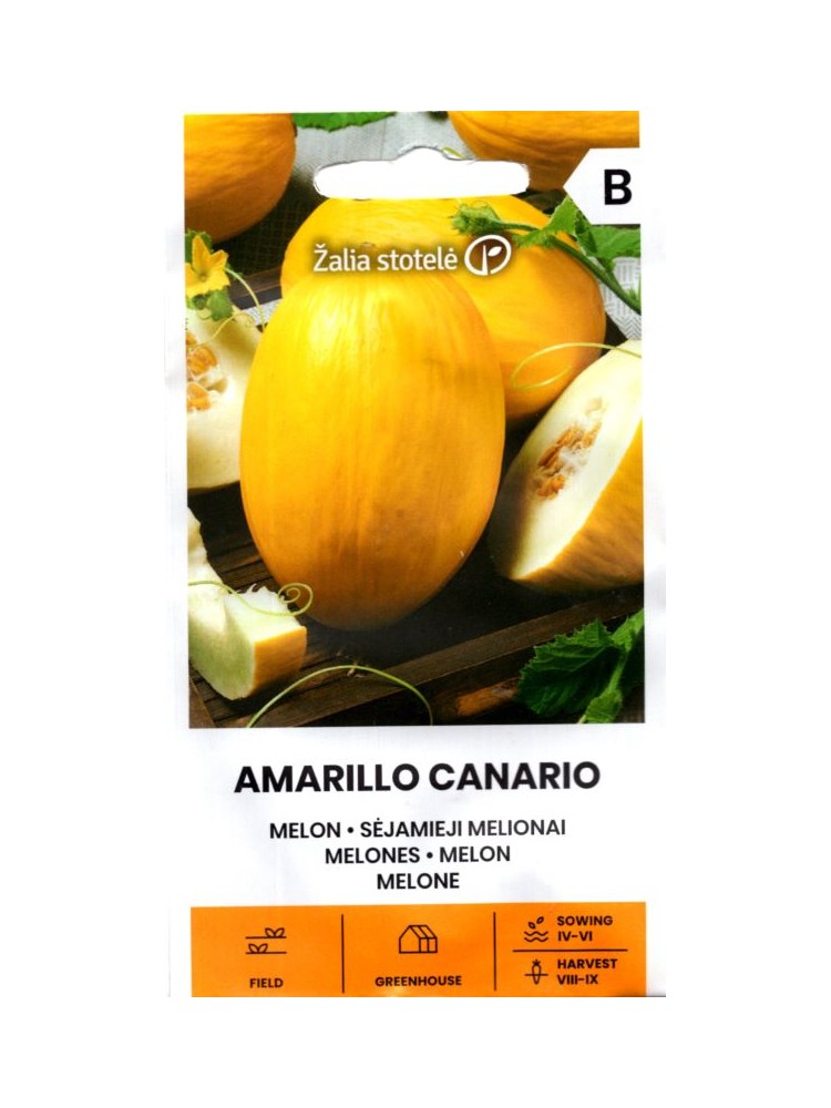 Melon 'Amarillo Canario' 1 g