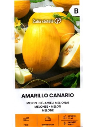 Melon 'Amarillo Canario' 1 g