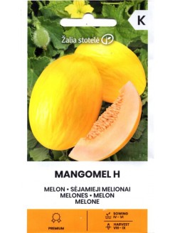 Melon 'Mangomel' H, 5 nasion