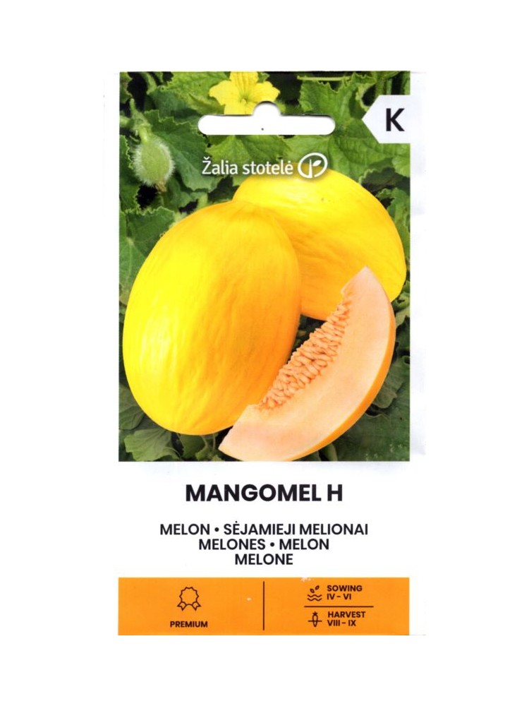 Melon 'Mangomel' H, 5 nasion