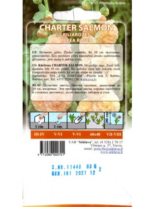 Malwa różowa 'Charter Salmon' 0,3 g