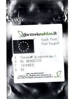 Pomidor 'Baribine' H