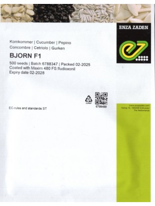 Ogórek 'Bjorn' H, 500 nasion