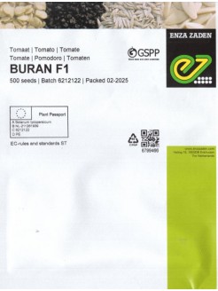 Pomidor 'Buran' H, 500 nasion