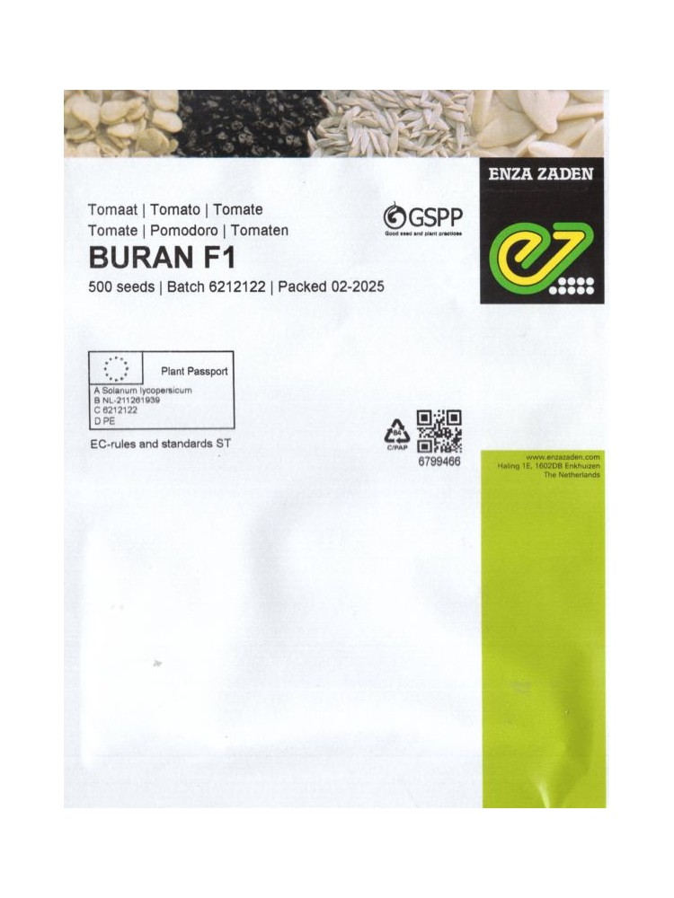Pomidor 'Buran' H, 500 nasion Pomidor 'Buran' H, 500 nasion