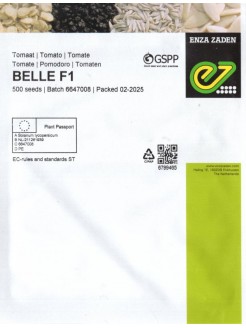 Pomidor 'Belle' H, 500 nasion