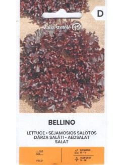 Sałata 'Bellino' 0,3 g