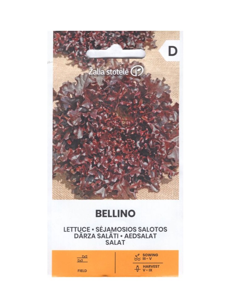 Sałata 'Bellino' 0,3 g Sałata 'Bellino' 0,3 g