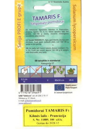 Pomidor zwyczajny 'Tamaris' H