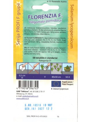 Pomidor zwyczajny 'Florenzia' H