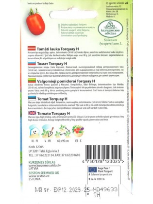 Pomidor 'Torquay' H