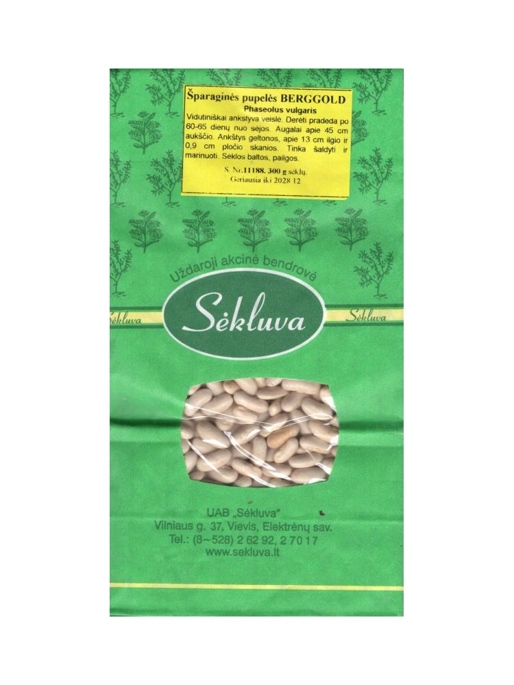 Fasola 'Berggold' 300 g Fasola 'Berggold' 300 g