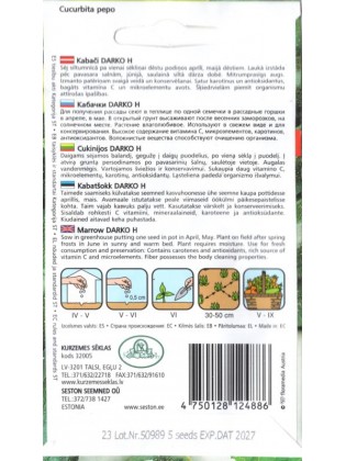 Cukinia 'Darko' H, 5 nasion