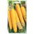 Marchew pastewna 'Lobo' 3 g