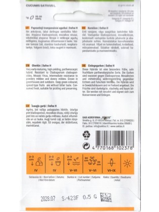 Ogórek 'Dafne' H, 0,5 g