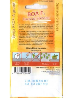 Szpinak 'Boa' H, 400 nasion