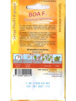 Szpinak 'Boa' H, 400 nasion