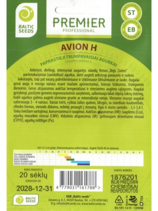 Ogórek 'Avion' H