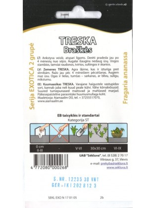 Truskawka 'Treska' 30 nasion