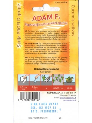 Ogórek siewny 'Adam' H, 20 nasion
