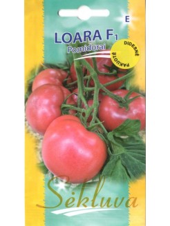 Pomidor 'Loara' F1, 100 nasion
