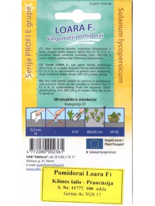 Pomidor 'Loara' F1, 100 nasion