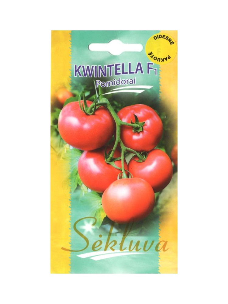 Pomidor 'Kwintella' H, 100 nasion Pomidor 'Kwintella' H, 100 nasion