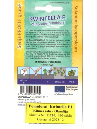 Pomidor 'Kwintella' H, 100 nasion