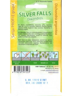 Dichondra srebrzysta 'Silver Falls' 8 nasion