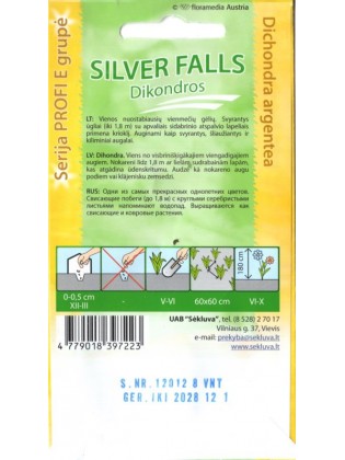 Dichondra srebrzysta 'Silver Falls' 10 nasion