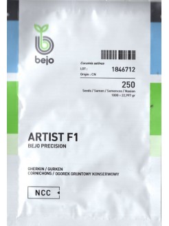 Ogórek 'Artist' H, 250 nasion