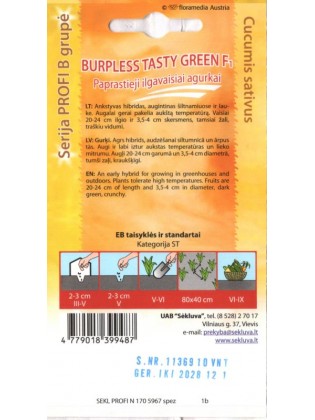 Ogórek siewny 'Burpless Tasty Green' H, 10 nasion