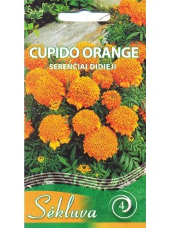 SE Serentis didysis 'Cupido Orange' 0,3 g