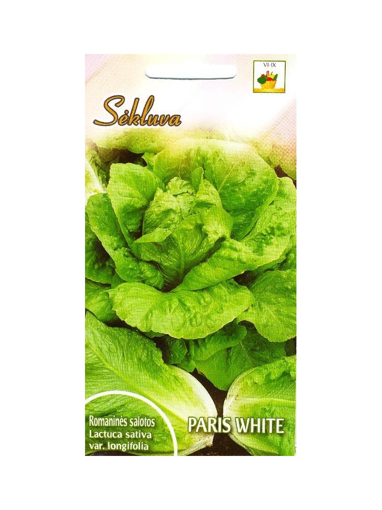 Salotos sėjamosios 'Paris White' 1 g Salotos sėjamosios 'Paris White' 1 g