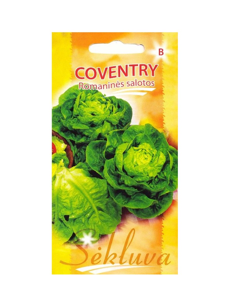 Sałata rzymska 'Coventry' 25 sėklos Sałata rzymska 'Coventry' 25 sėklos