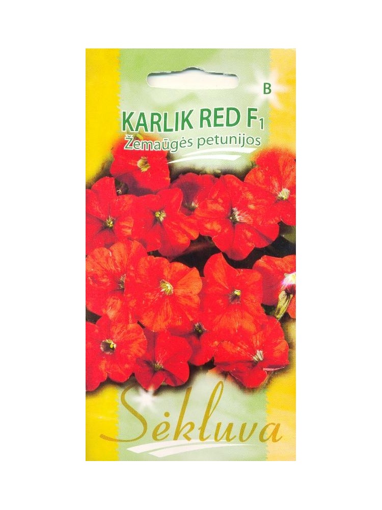 Petunia ogrodowa 'Karlik red' H, 25 nasion