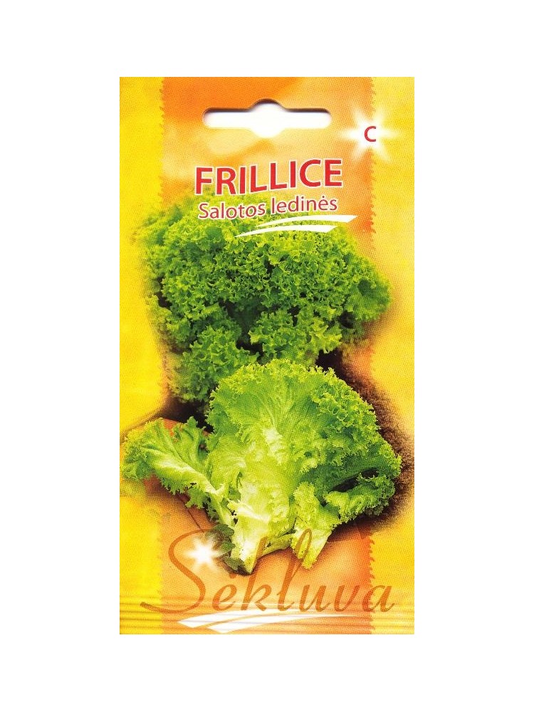 Sałata siewna 'Frillice' 0,1 g