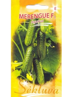 Ogórek siewny 'Merengue' H, 20 nasion