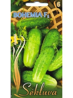 Ogórek siewny 'Bohemia' H, 1 g