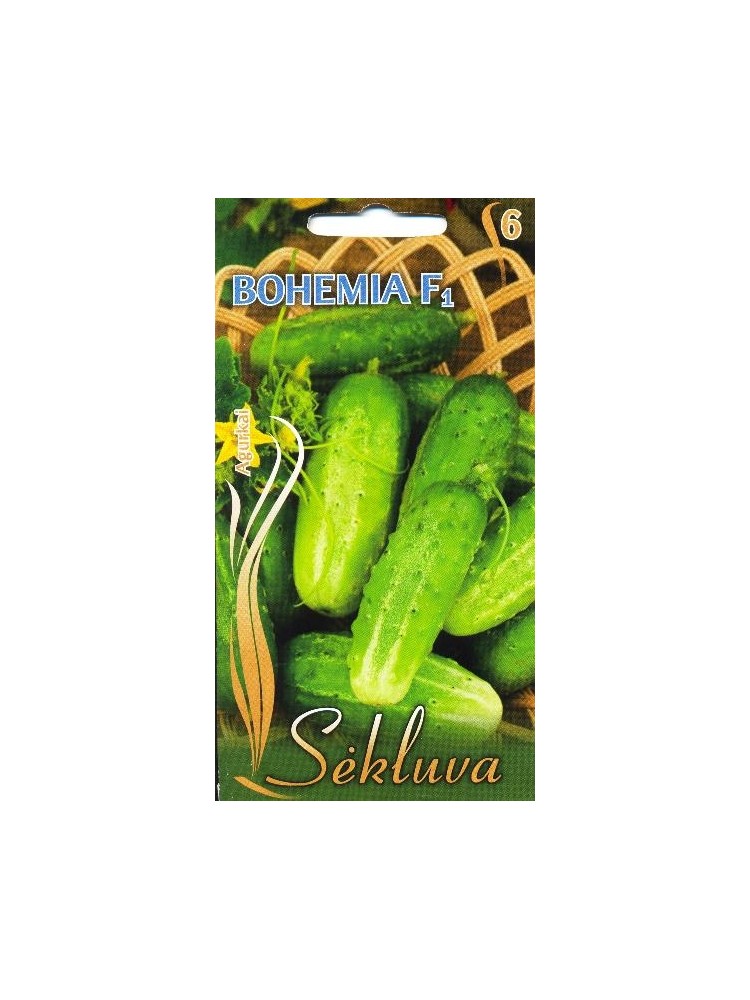 Ogórek siewny 'Bohemia' H, 1 g