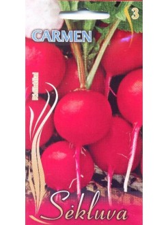 Rzodkiew 'Carmen' 5 g