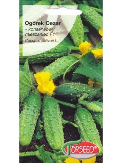 Agurkai paprastieji 'Cezar' H, 3 g