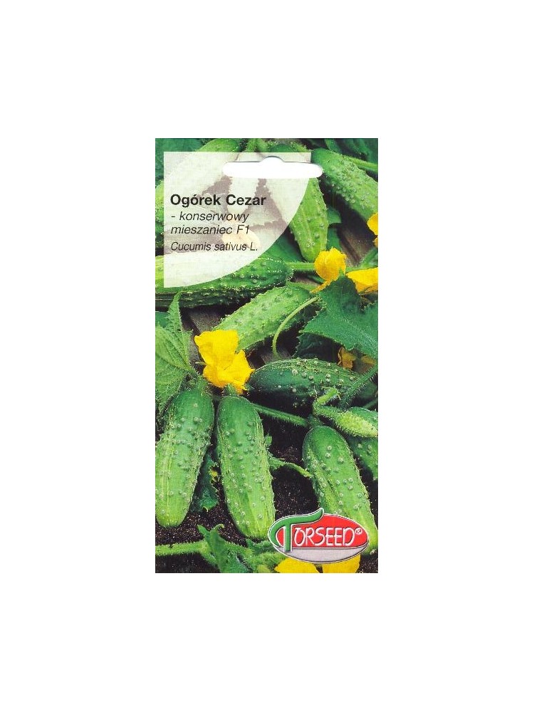 Agurkai paprastieji 'Cezar' H, 3 g Agurkai paprastieji 'Cezar' H, 3 g