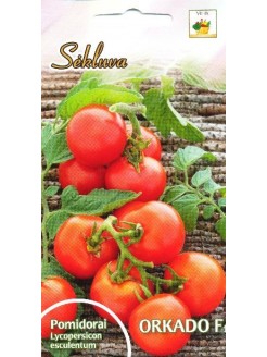 Pomidor zwyczajny 'Orkado' H, 10 nasion