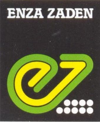 Enza Zade